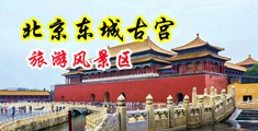 日逼逼视频啊日快点好爽啊中国北京-东城古宫旅游风景区